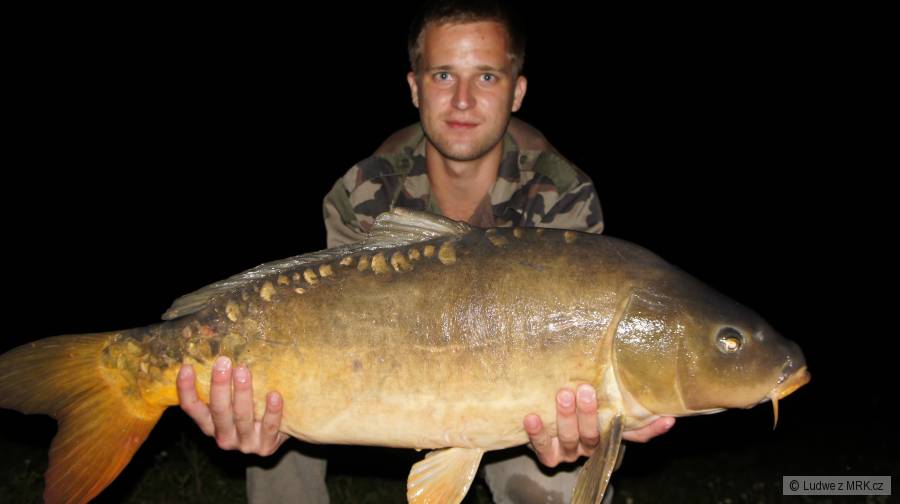 12 kg