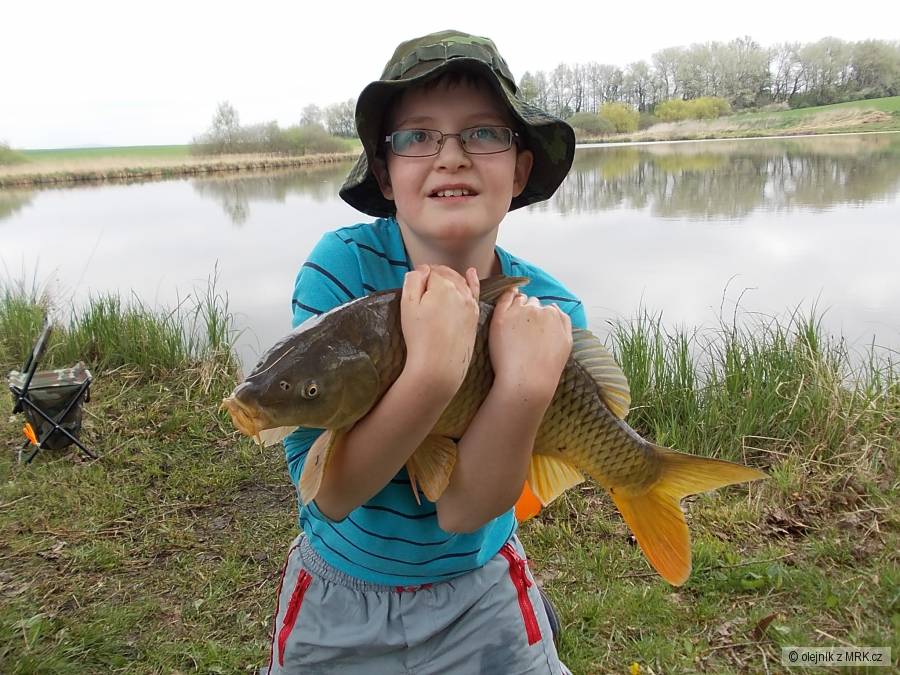 kapr obecný 62cm