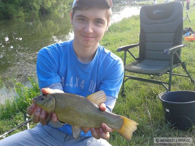 Lieň 35 cm na feeder
