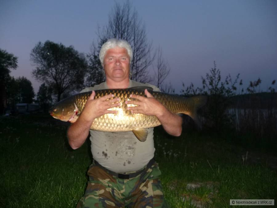 Amur 110cm