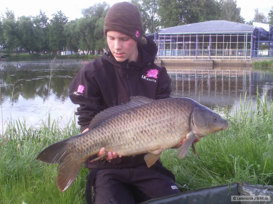 Kapr 84cm/7,60kg