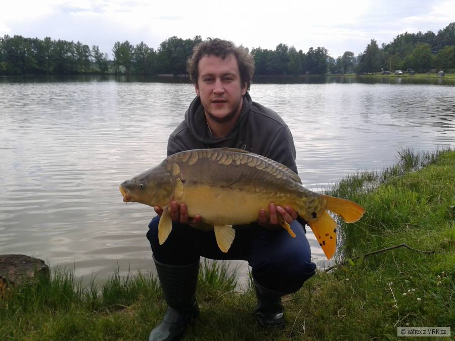 71 cm lisec