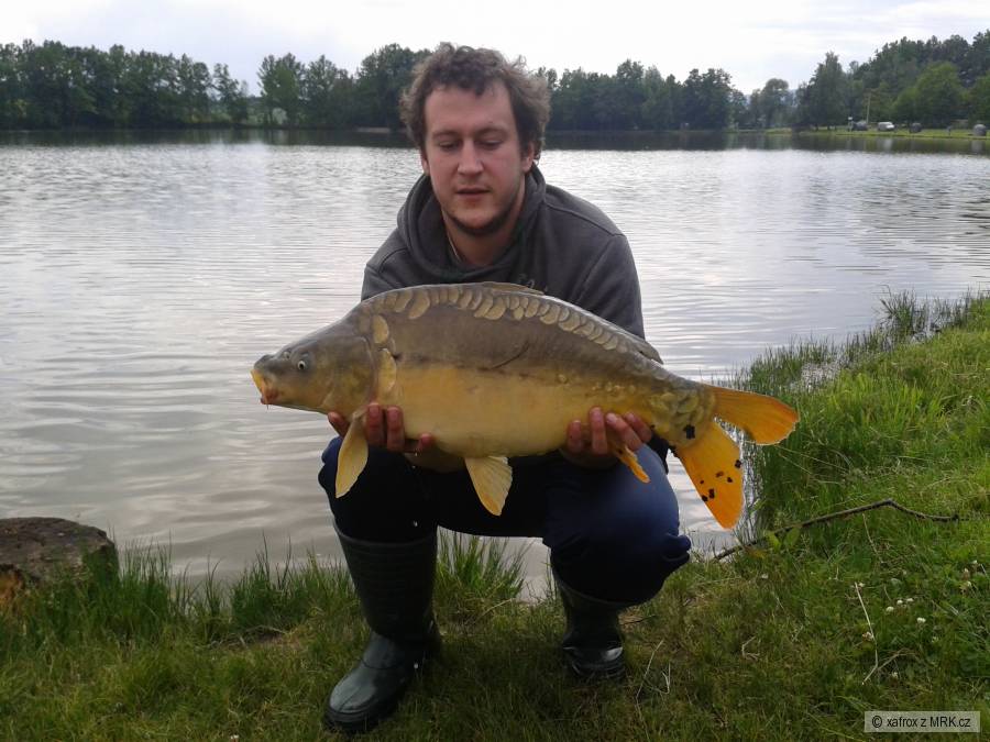 Lisec 71 cm, krasavec :-)