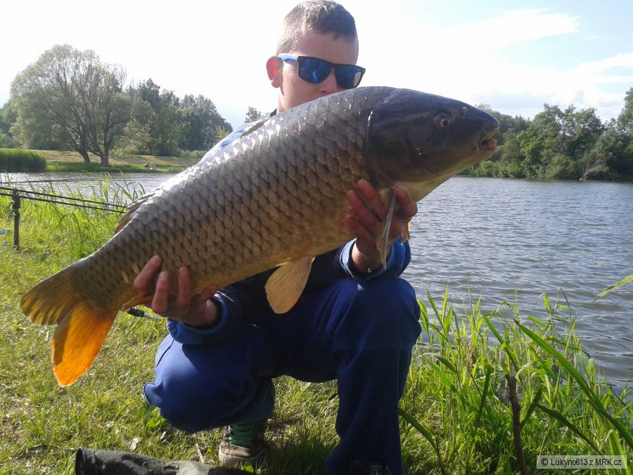 78cm cca 10kg