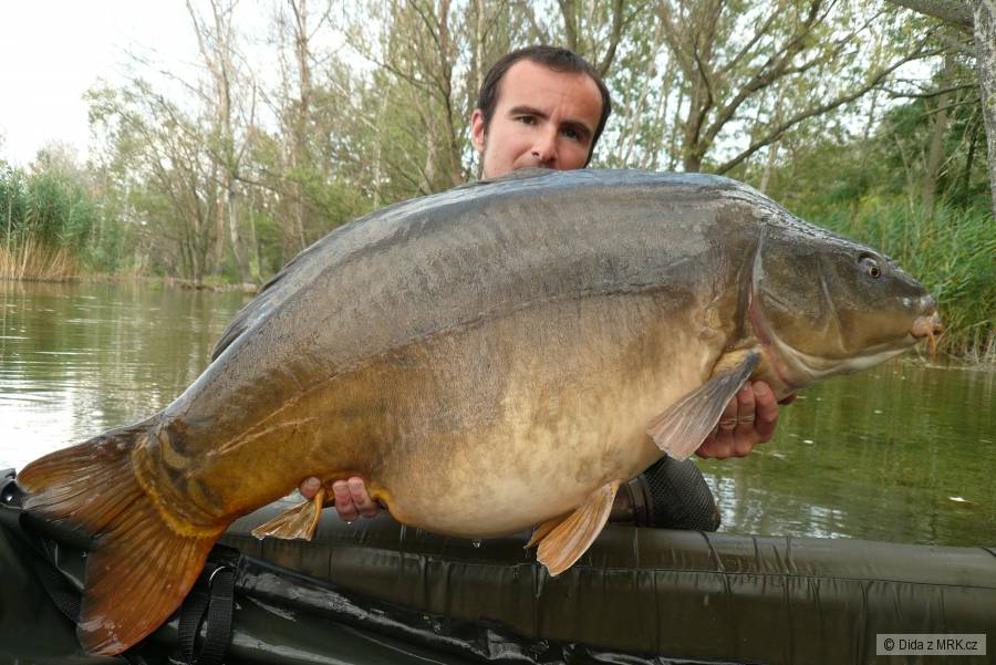 Hungary mirror