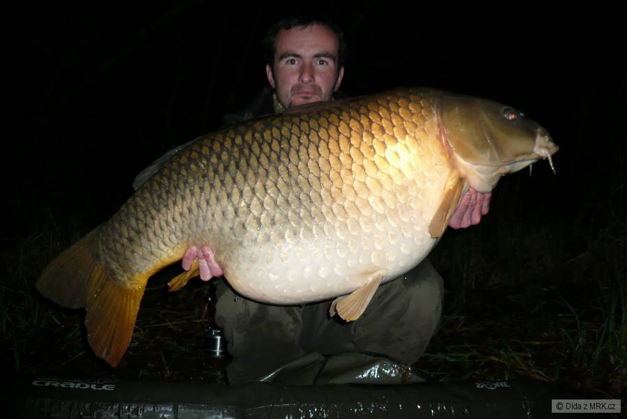 Big common