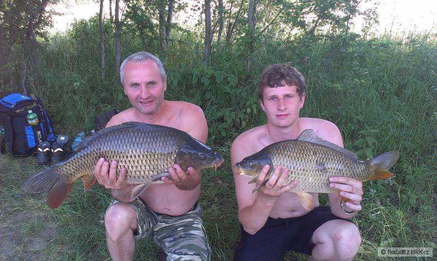 Double 3,5 a 6kg