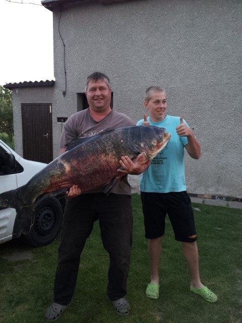 Tolstolobik 132cm v�ha 50 Kg :D