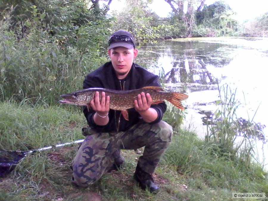 štika n.o.1