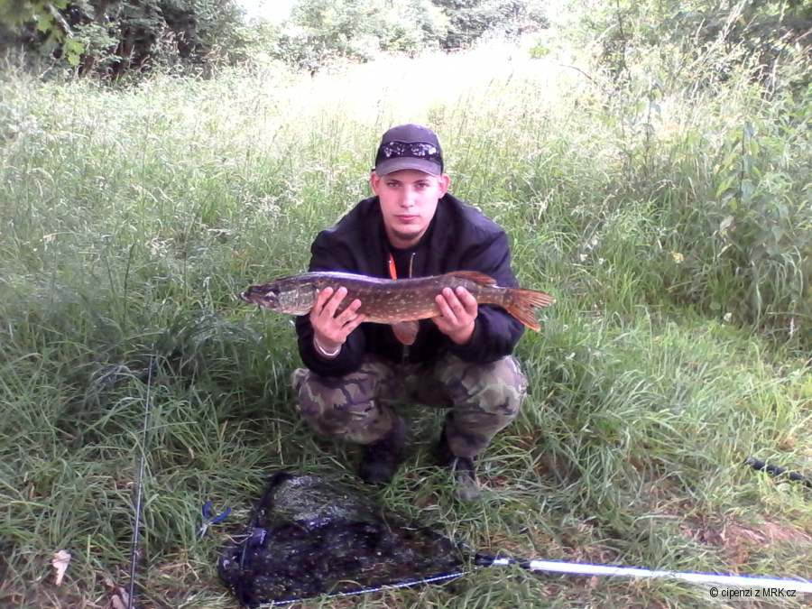 štika n.o.2