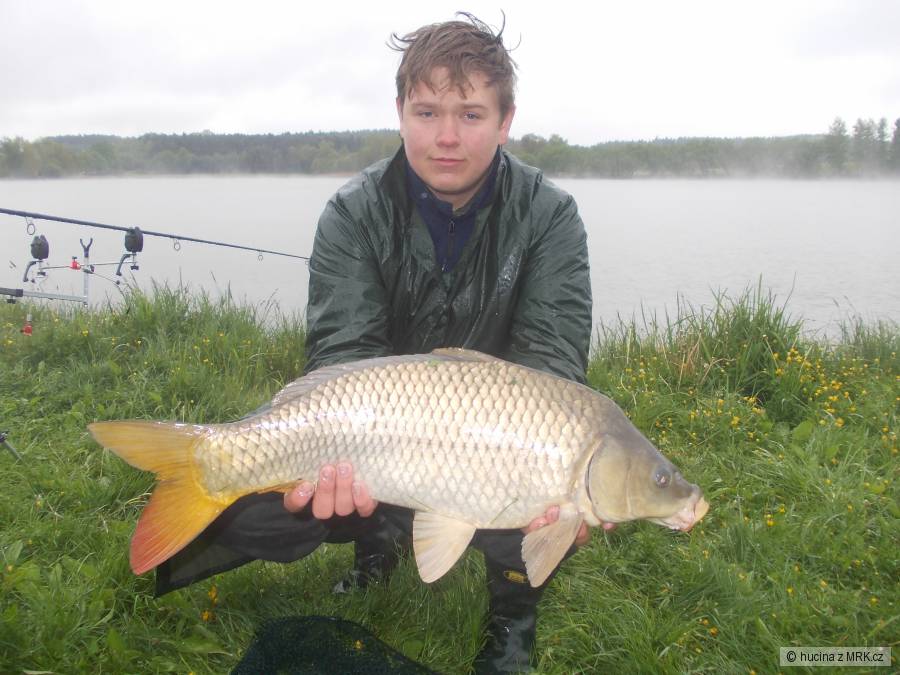 74cm