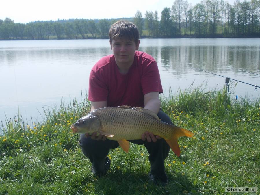 74cm