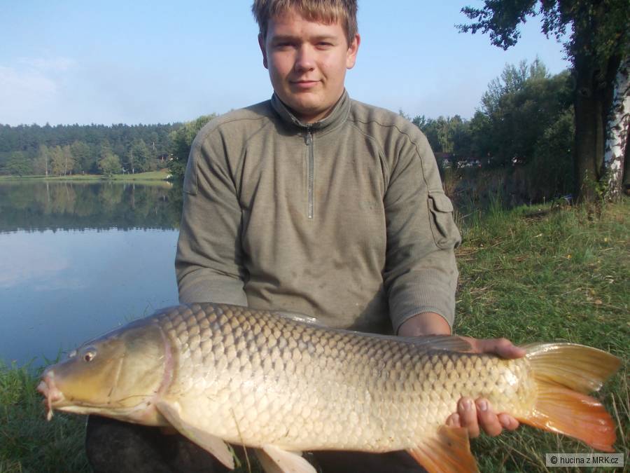 83cm