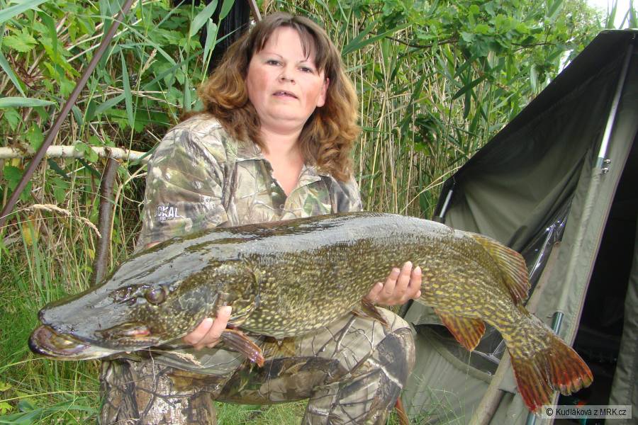 Štika 121cm, 15,5kg