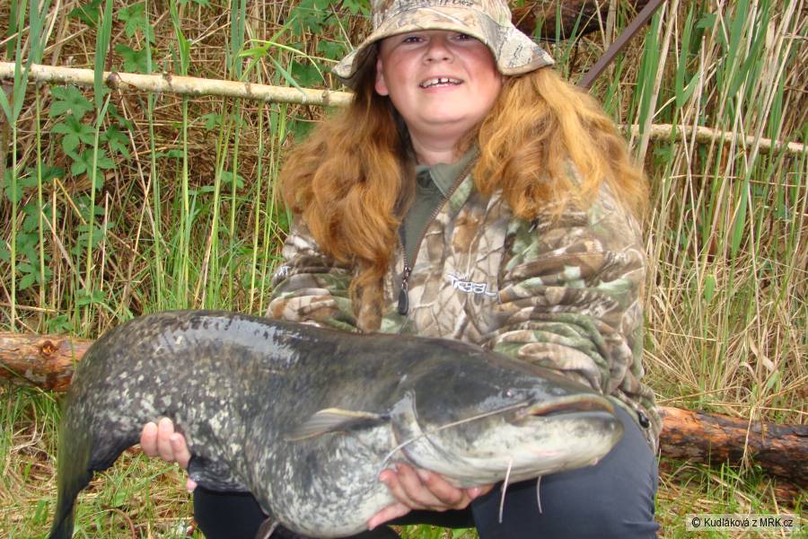 Sumec 117cm, 16,5 kg