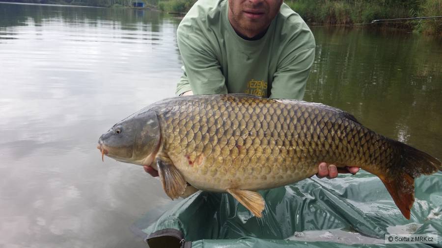 Jezero Nejedlý