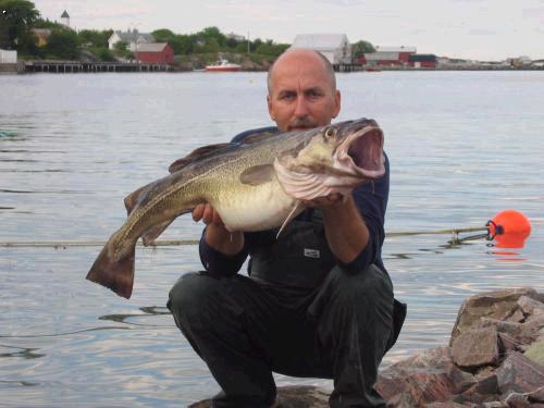 Treska 96cm, 12kg