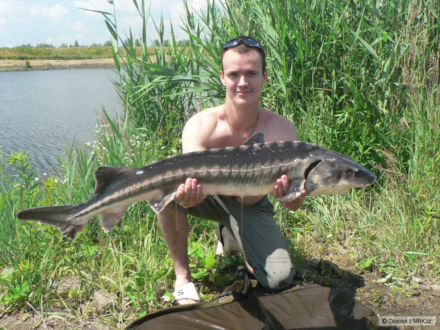Jezero Nebesak