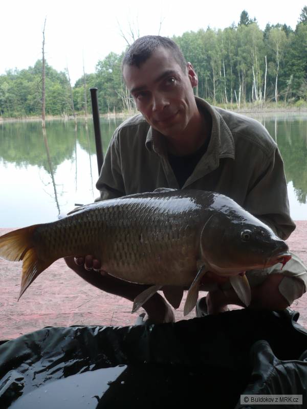 Kapr 85cm 10,5Kg