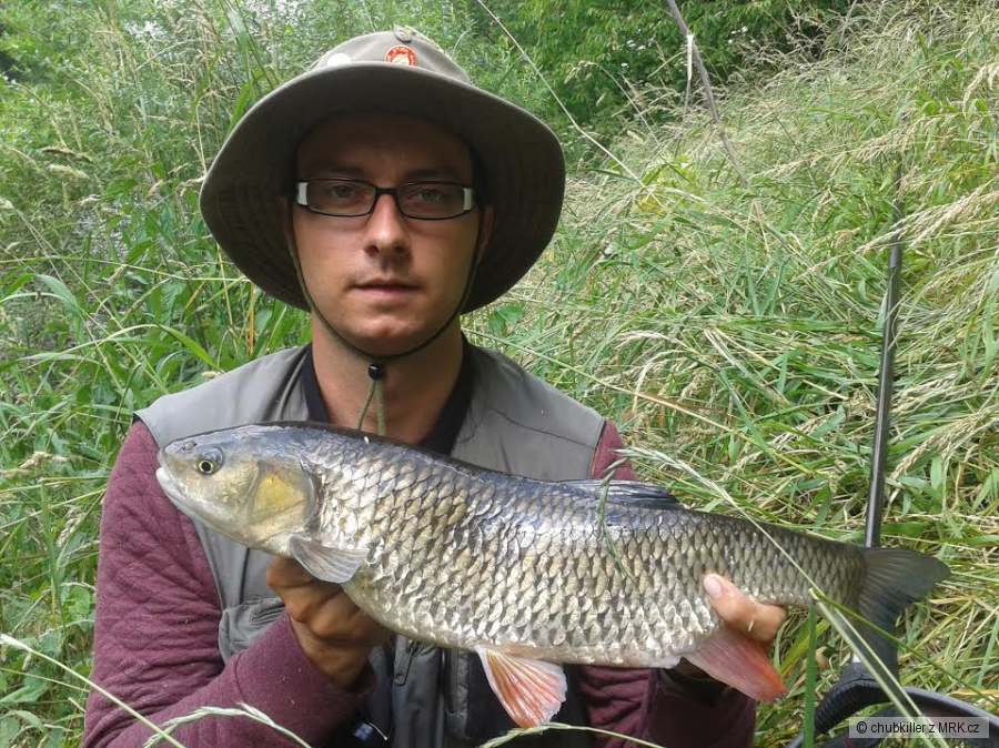 Tloušť 54cm