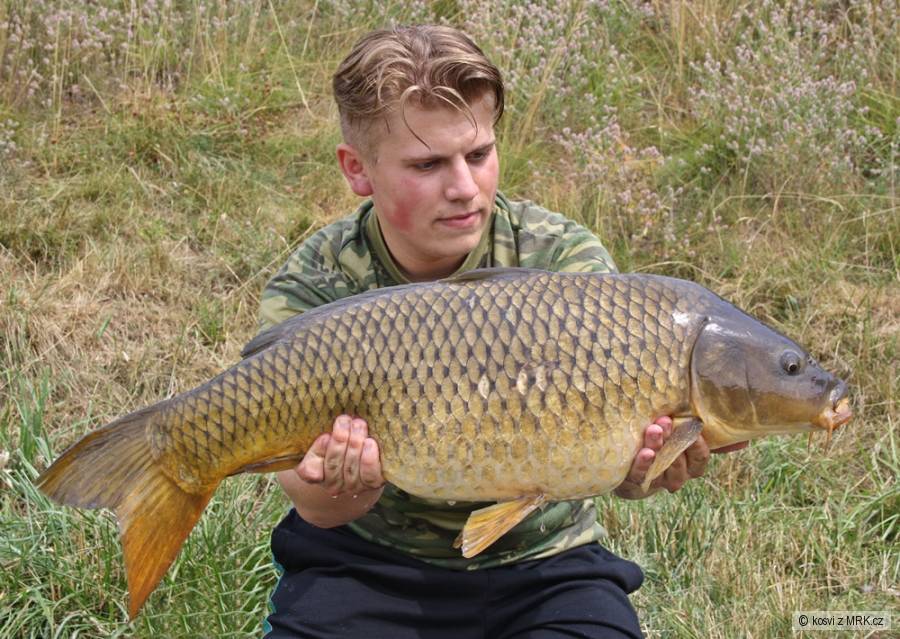 Šupináč