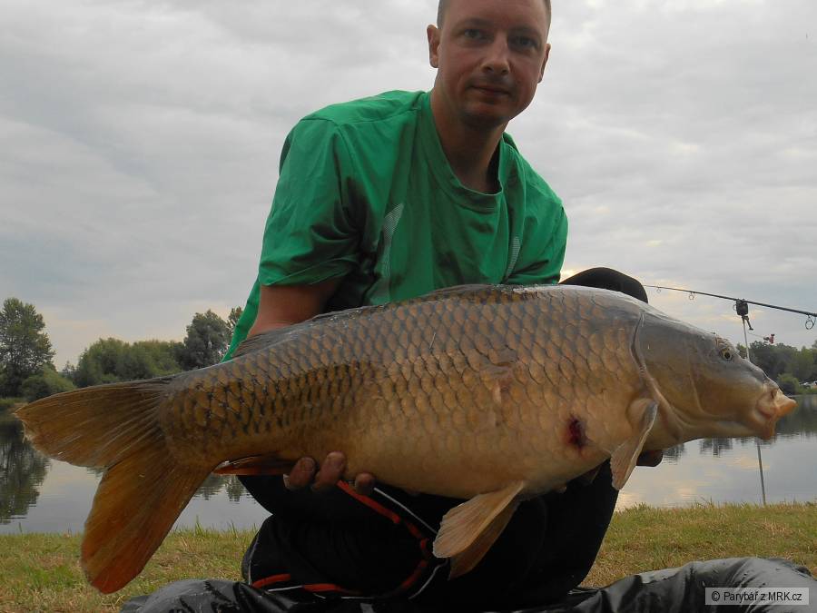 Labáček