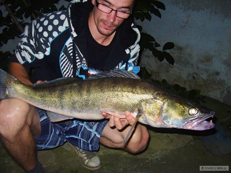 20/8/12 74cm