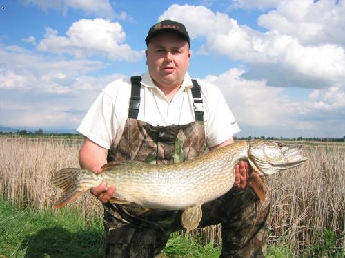 Slovensk� zubatka