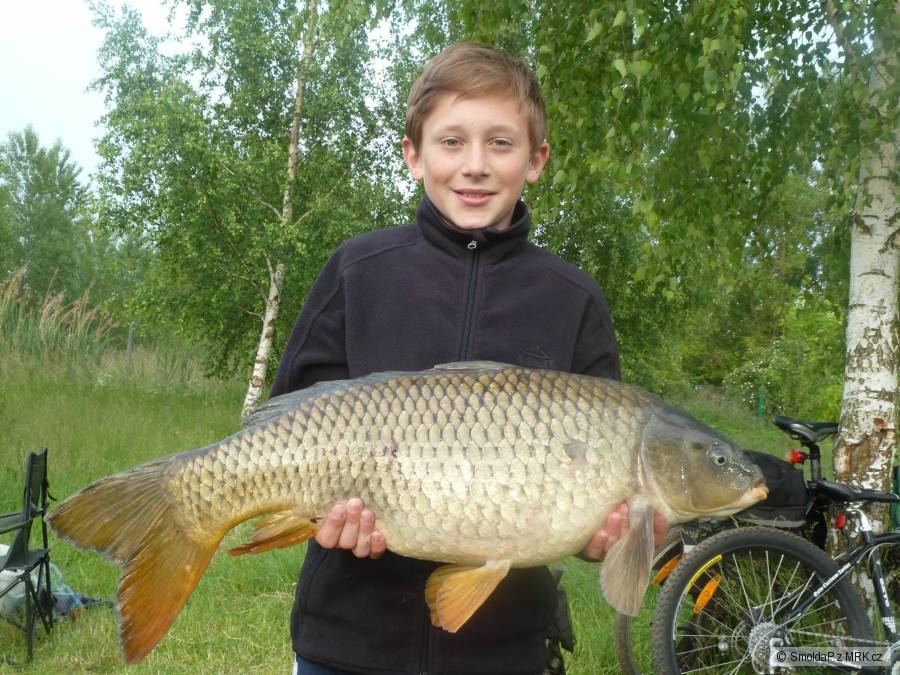 Kapr 72cm, 6,5kg