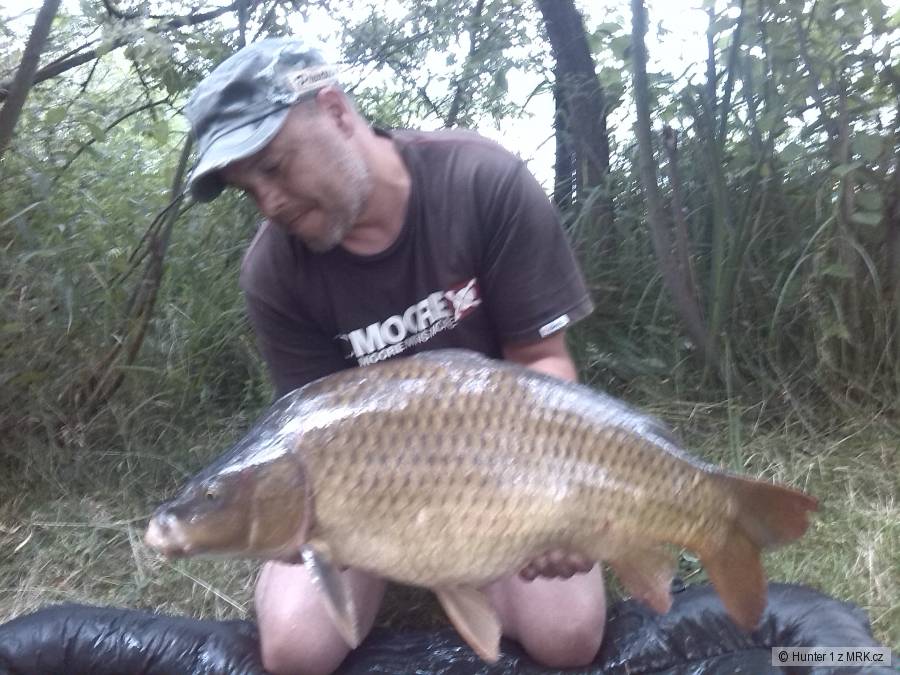Nadějný malý ale 11kg