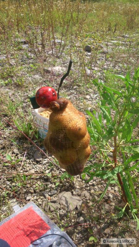 boilies 