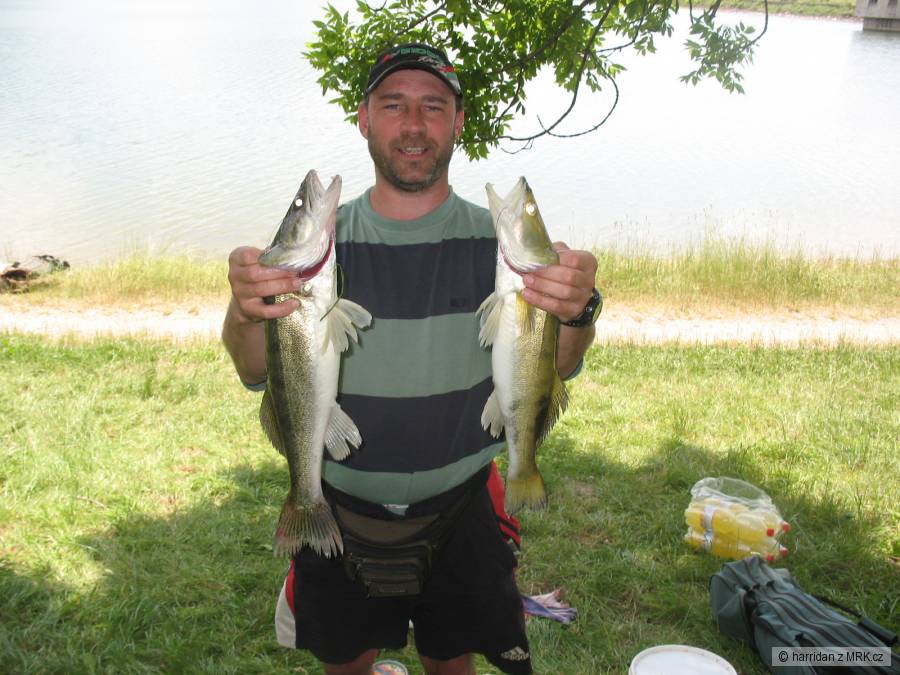 vetřkovice 2014