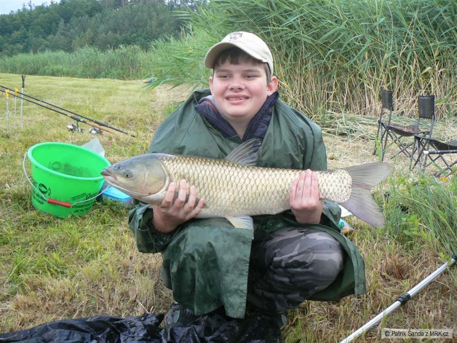 amur 76 cm