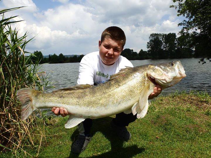 Candát 94 cm 9 kg