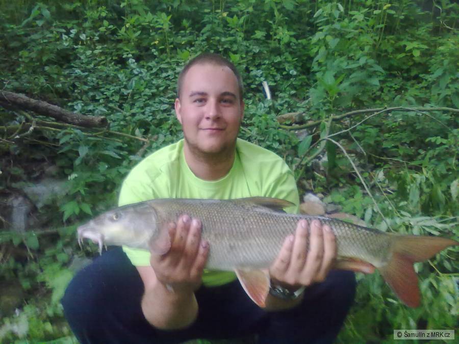 Parmicka