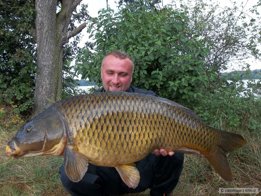 Kapr 14,35kg