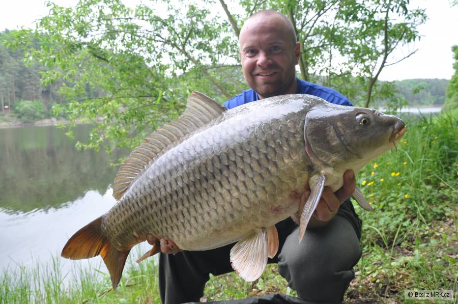 svazovka - POMPAJZ BAITS
