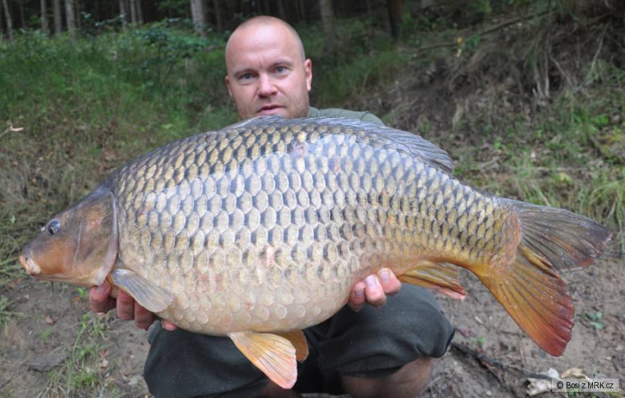 svazovka - POMPAJZ BAITS