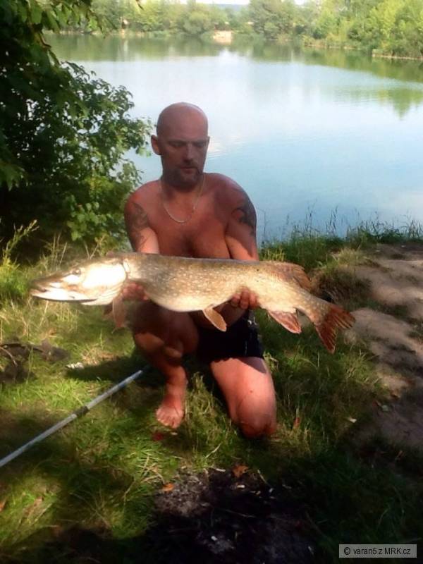 Stika rovnych 100 cm