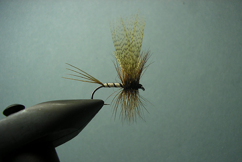 Mayfly