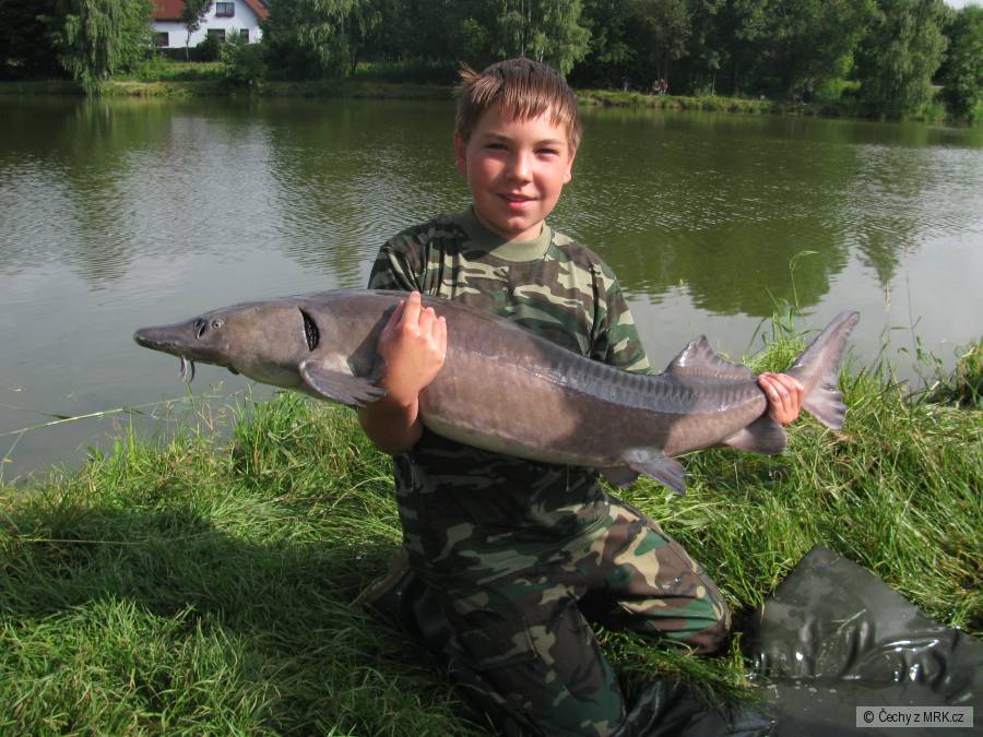Můj první jeseter 121 cm