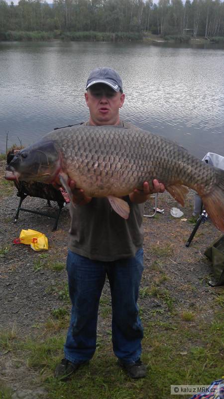 kapr 100cm 24,5 Kg 