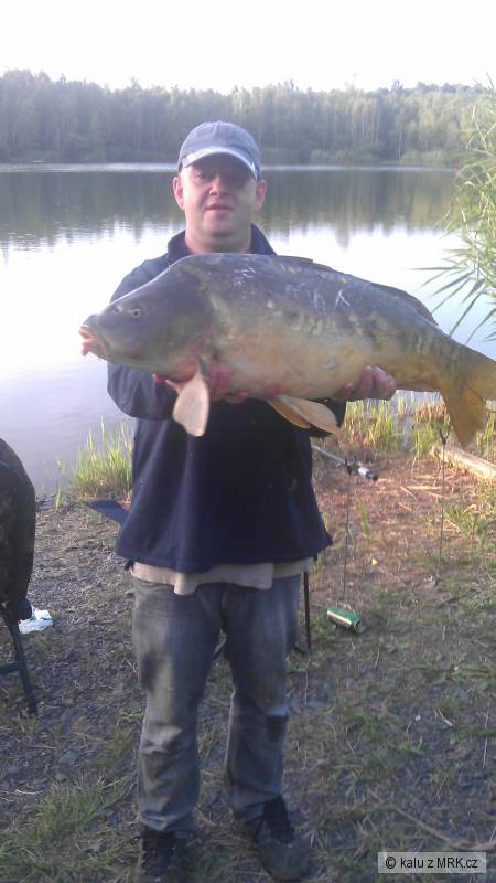 kapr 84cm 16Kg