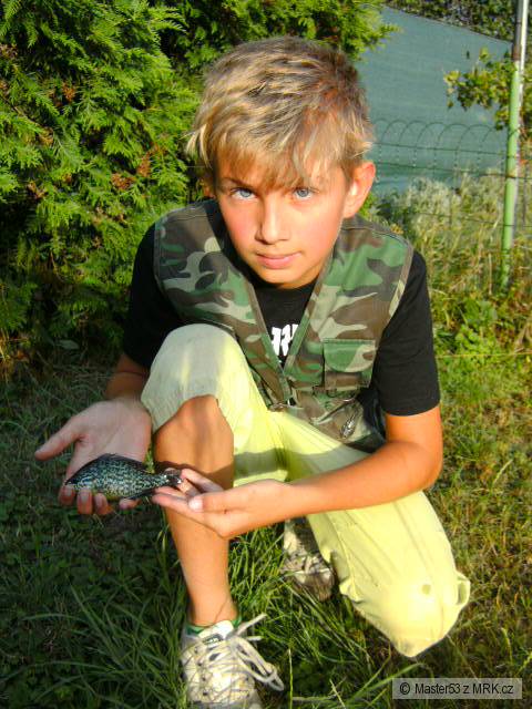 Slune�nice Pestr�