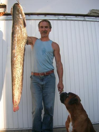 sumec 158cm 34kg