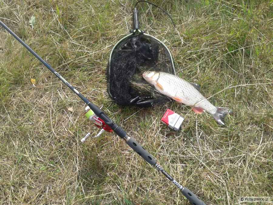Tloušt 41 cm