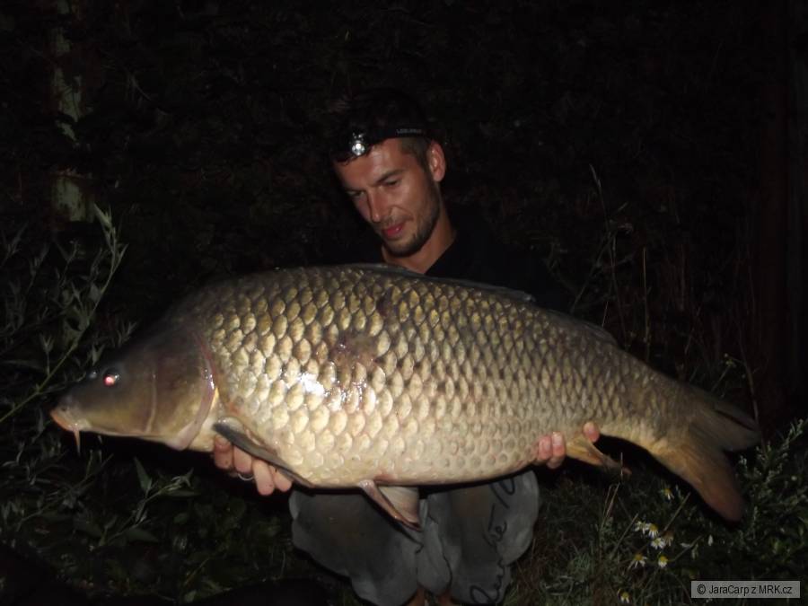 88cm 12.70kg