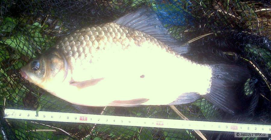 karas 30cm