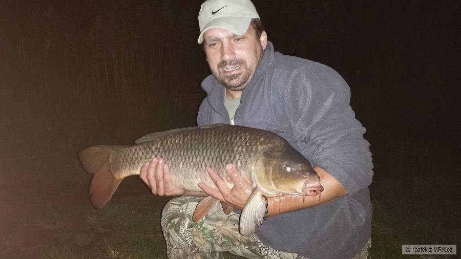 Kapr 82cm 7,60kg