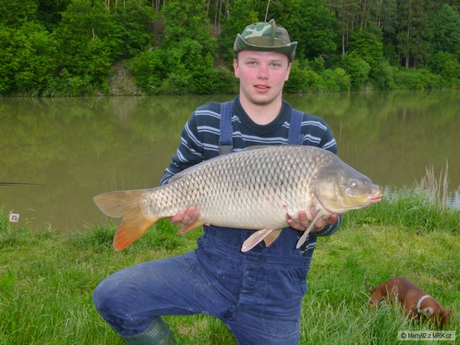 kapřík